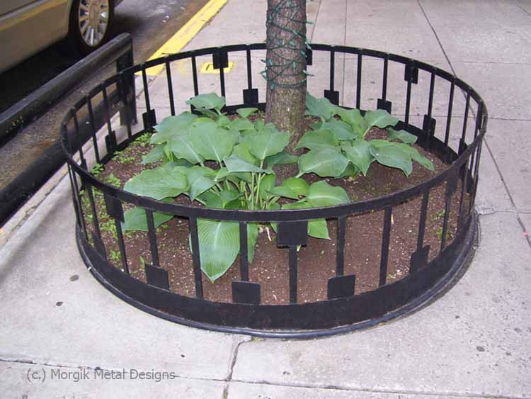 Custom Circle Tree Guard